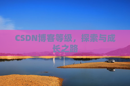 CSDN博客等级，探索与成长之路